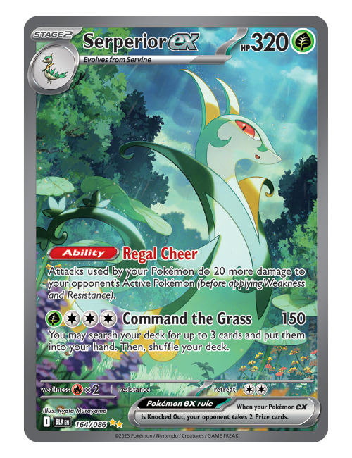 Serperior ex  - 164/086 - Black Bolt