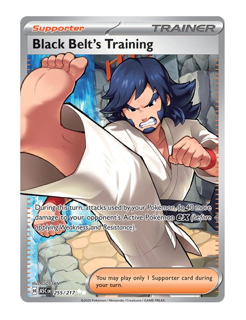 Black Belt's Training #255/217 - Ascended Heroes