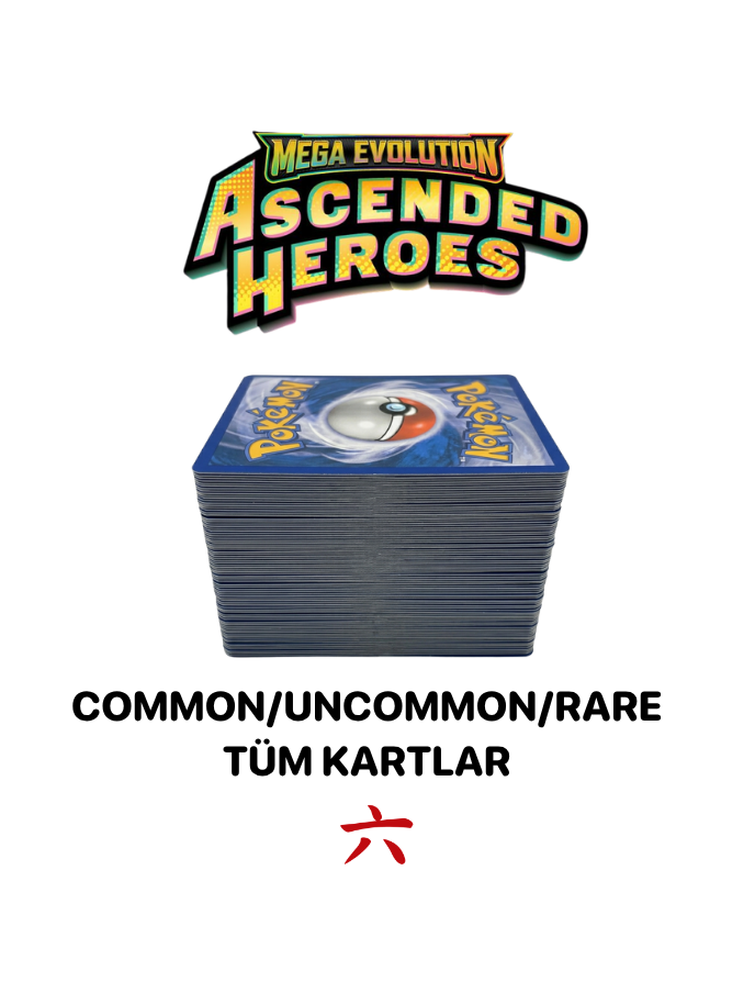 Ascended Heroes Sıralı ve Tekrarsız 178 Kart