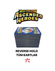 Ascended Heroes Reverse Holo 318 Kart