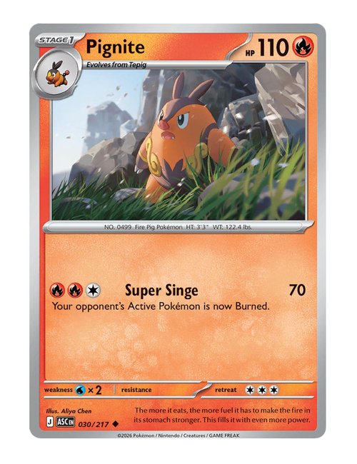 Pignite #030/217 Reverse Holo - Ascended Heroes
