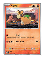 Numel #011/091 - Paldean Fates