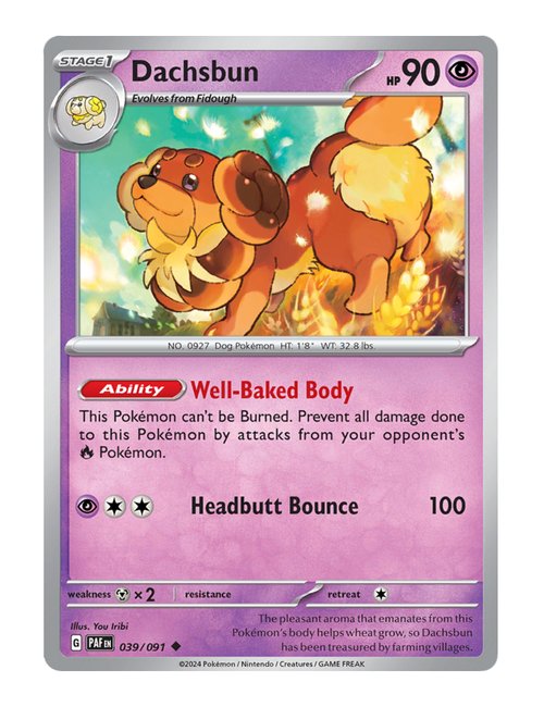 Dachsbun #039/091 Reverse Holo - Paldean Fates