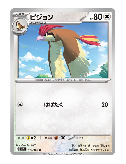 Pidgeotto #017/165 - Japanese 151