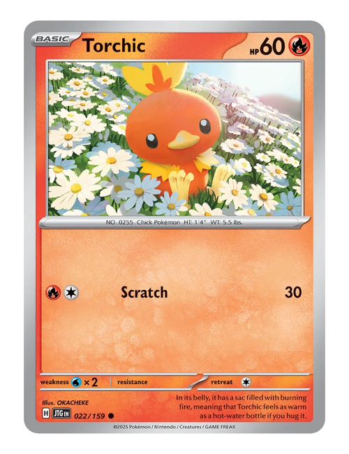 Torchic #022 - Journey Together