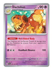 Dachsbun #039 - Paldean Fates