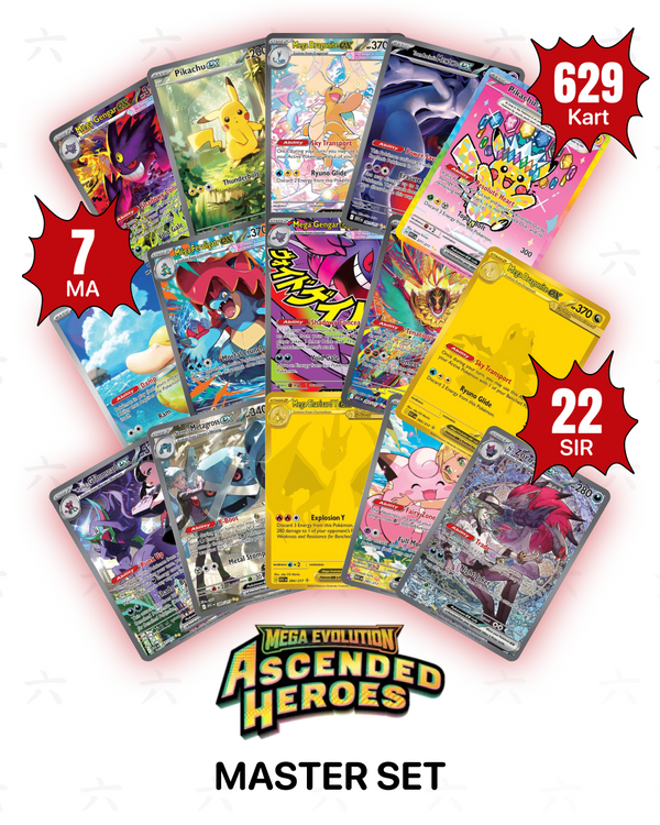 Müzayede: Ascended Heroes Master Set (629 Kartın Tamamı)